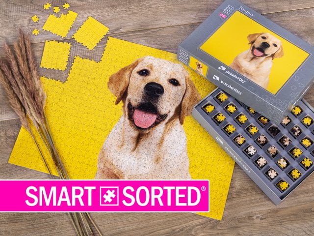 SMART SORTED® | Fotopuzzel