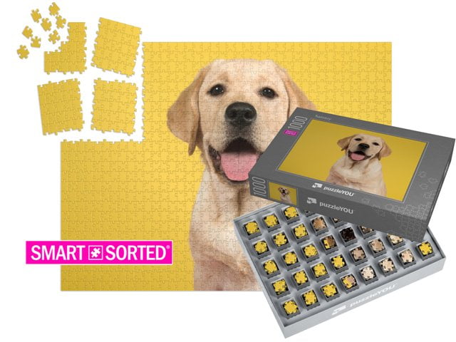 Het slimme alternatief! Zok lukt elke 1000 stukjes puzzel - gegarandeerd.